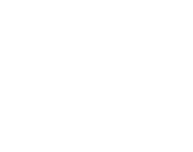 States icon